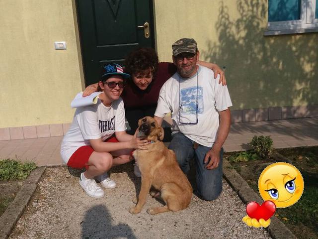 Kito ha trovato famiglia!